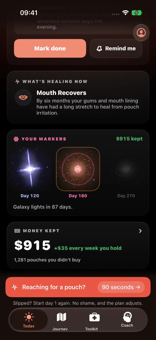 Quit Nicotine Pouches's progress screen on day 183 of the demo account